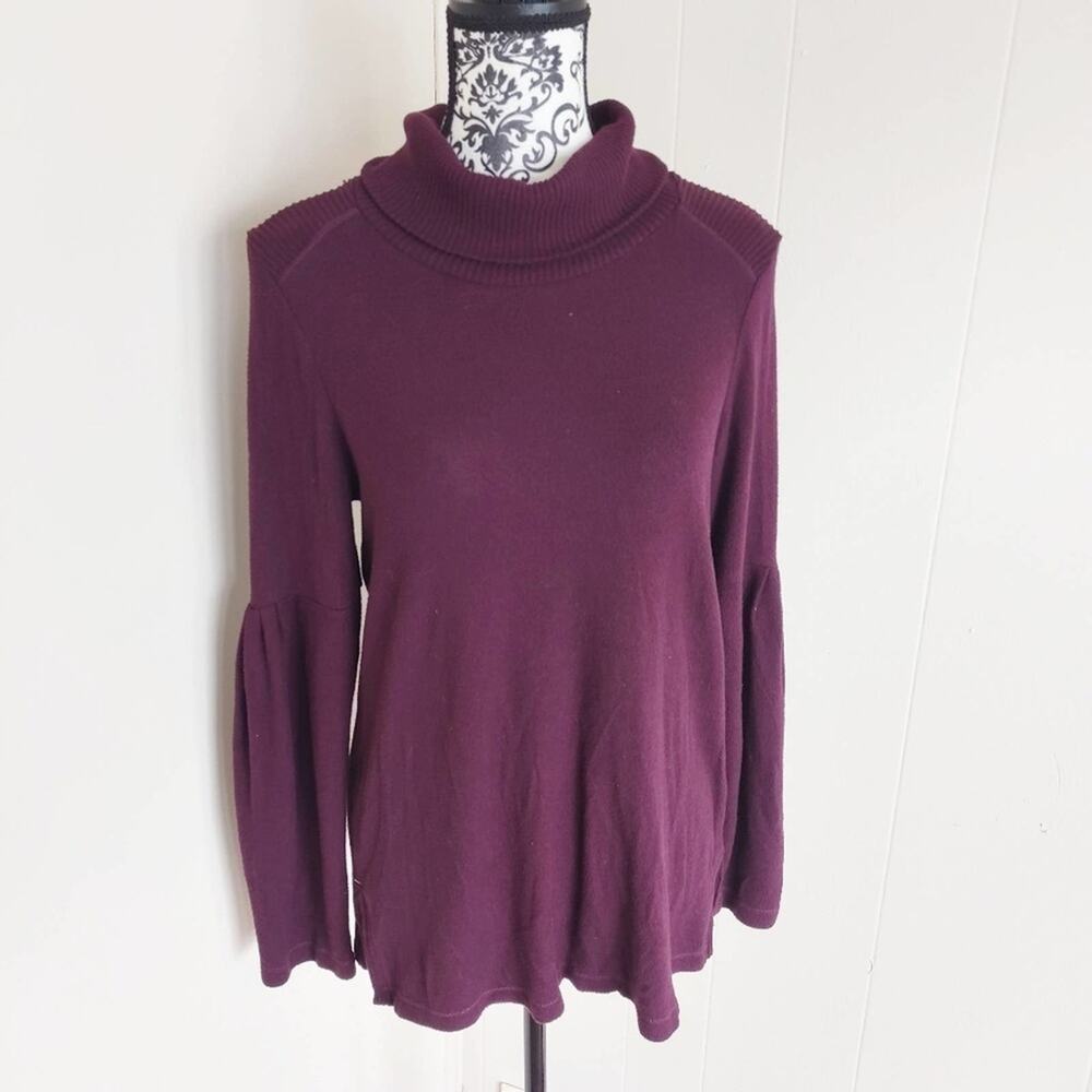 Anthro Saturday Sunday Turtleneck Sweater